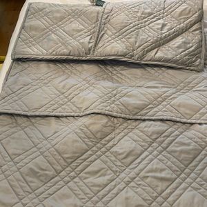 Two Ralph Lauren euro Pillow Shams blue